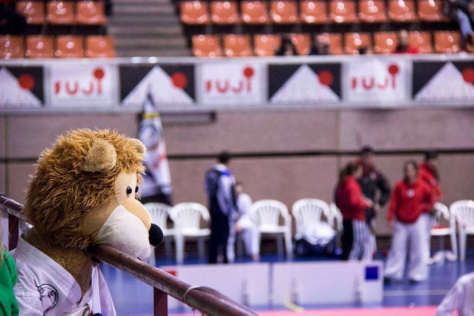 BCN FUJI MAE CUP (2).jpg